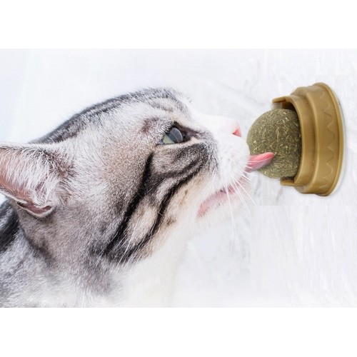 Kedi Nanesi Cat Mint Oyun Topu Catnipli Doğal Yenilebilir Top Oyuncak