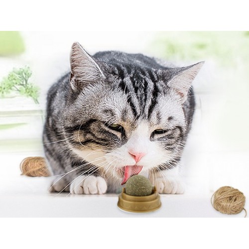 Kedi Nanesi Cat Mint Oyun Topu Catnipli Doğal Yenilebilir Top Oyuncak