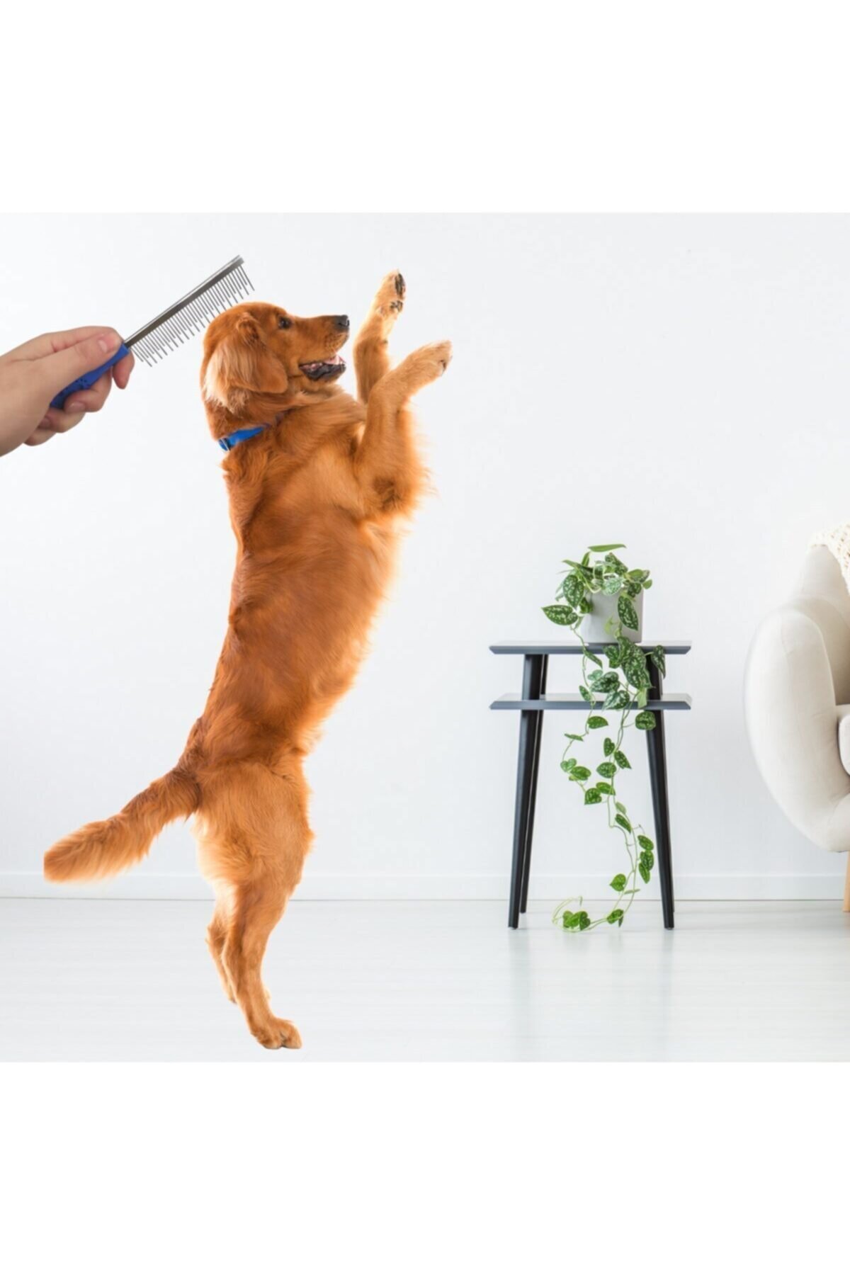 Kedi Köpek Tüy Açma Tarağı Kıtık Açıcı Bakım Tarağı Metal
