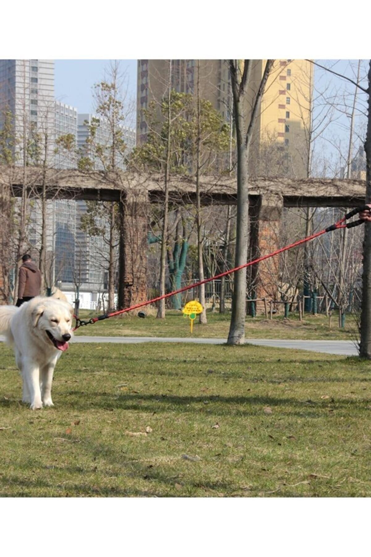 Köpek Gezdirme Halatı Tasma Kayışı Kırmızı Reflektörlü 130 cm