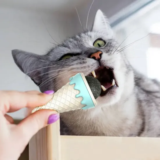 Dondurma Şekilli Kedi Nanesi Catmint Catnip 