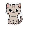 Kedi Ürünleri | Toptanhane.com